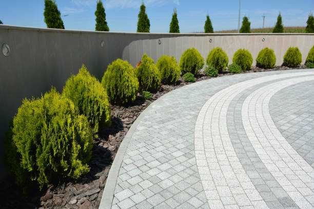Best Local Driveway Pavers  in Coker, AL